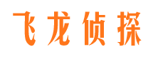 开平市调查公司